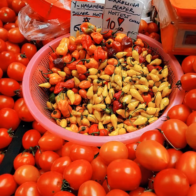 Macarrão Espaguete (500g)