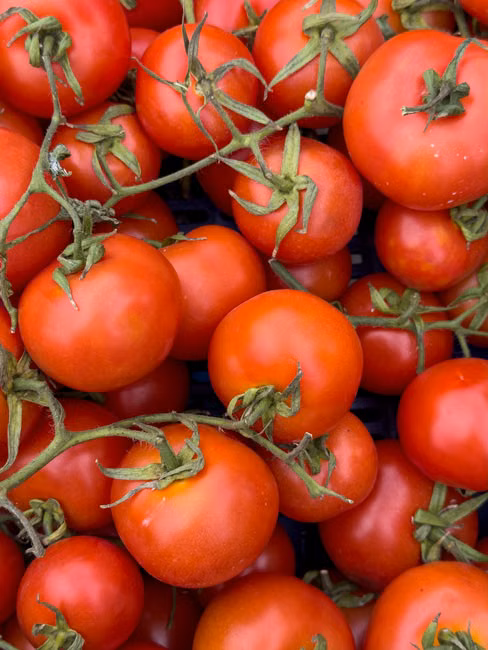 Molho de Tomate (340g)